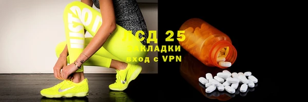 стаф Алексин