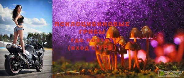 2c-b Алзамай