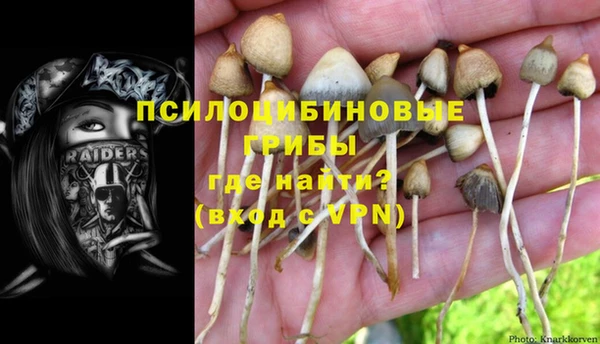стаф Алексин